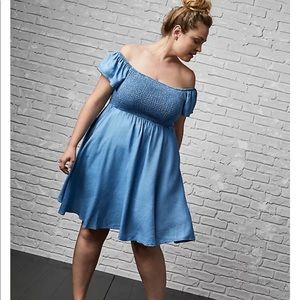 chambray dress plus size